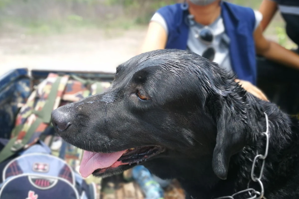 พบพระธุดงค์หลงป่ายังมีชีวิต เจ้าหน้าที่เร่งหาพิกัด หลังสัญญาณขาดหาย