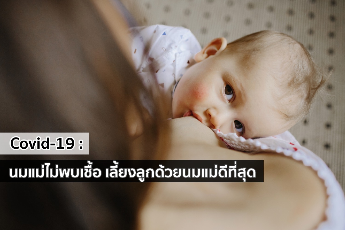 Covid-19 : นมแม่ไม่พบเชื้อ เลี้ยงลูกด้วยนมแม่ดีที่สุด Covid-19 : นมแม่ไม่พบเชื้อ เลี้ยงลูกด้วยนมแม่ดีที่สุด