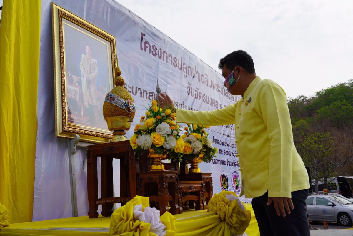 พช.พร้อมใจจัด“โครงการปลูกป่าเฉลิมพระเกียรติ”ถวายเป็นพระราชกุศล