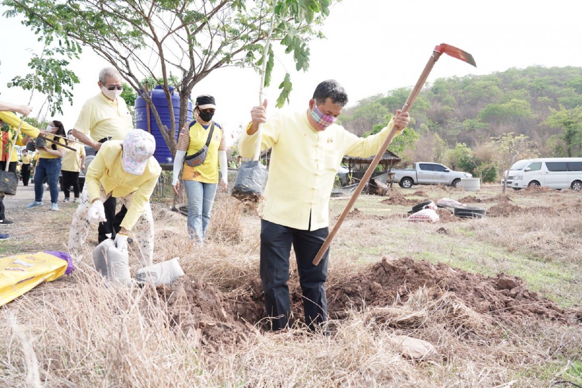 พช.พร้อมใจจัด“โครงการปลูกป่าเฉลิมพระเกียรติ”ถวายเป็นพระราชกุศล พช.พร้อมใจจัด“โครงการปลูกป่าเฉลิมพระเกียรติ”ถวายเป็นพระราชกุศล