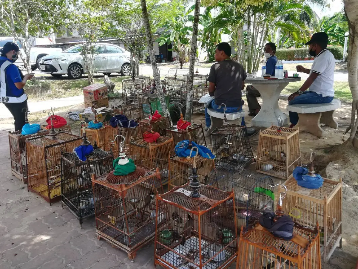 รวบผู้ต้องหาโพสต์ขายสัตว์ป่าคุ้มครองในเฟซบุ๊ก พร้อมของกลาง 38 ตัว