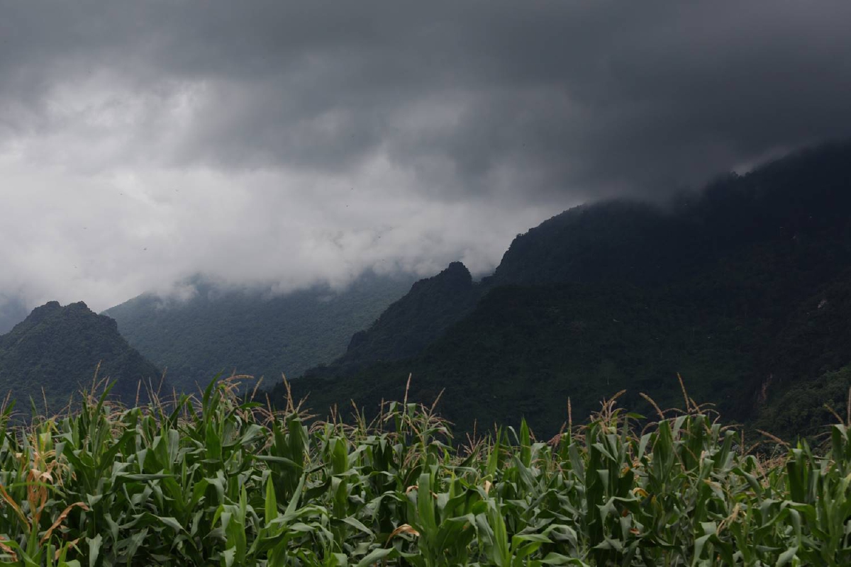 อุตุฯเผยทั่วไทยมีฝนฟ้าคะนอง 10-40% ของพื้นที่ อุตุฯเผยทั่วไทยมีฝนฟ้าคะนอง 10-40% ของพื้นที่