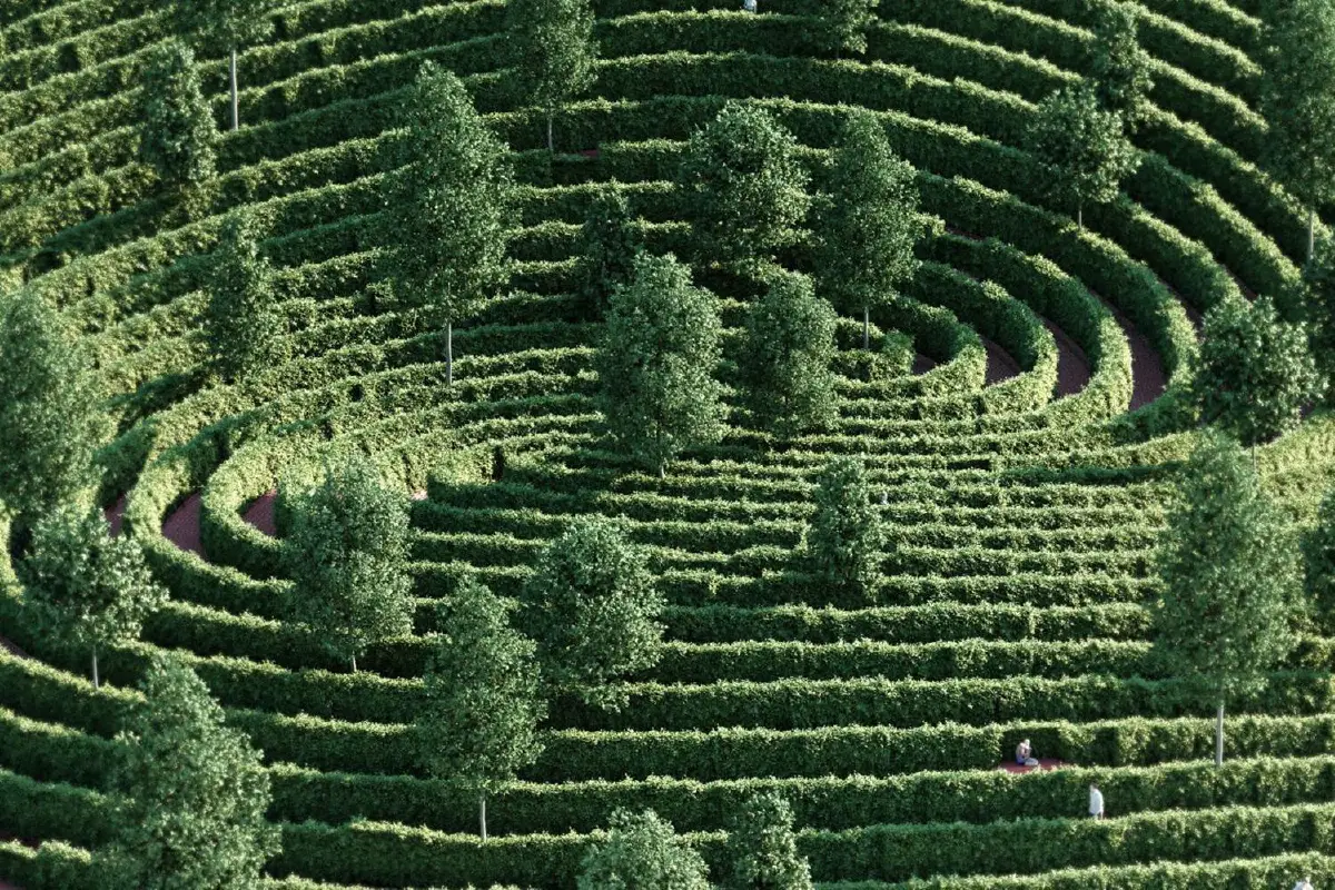 เมื่อมองมุมต่างจะเห็นหลากปรากฏการณ์ที่โควิดสร้างจากทั่วโลก