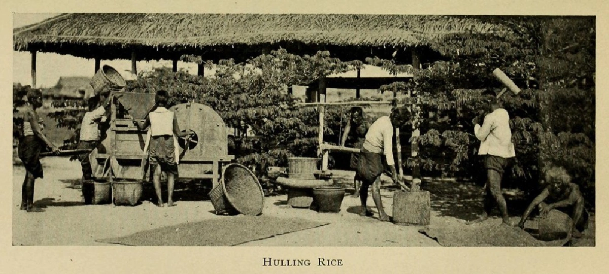 ทำไมชาวนาไทยถึงยากจนข้ามศตวรรษ? 