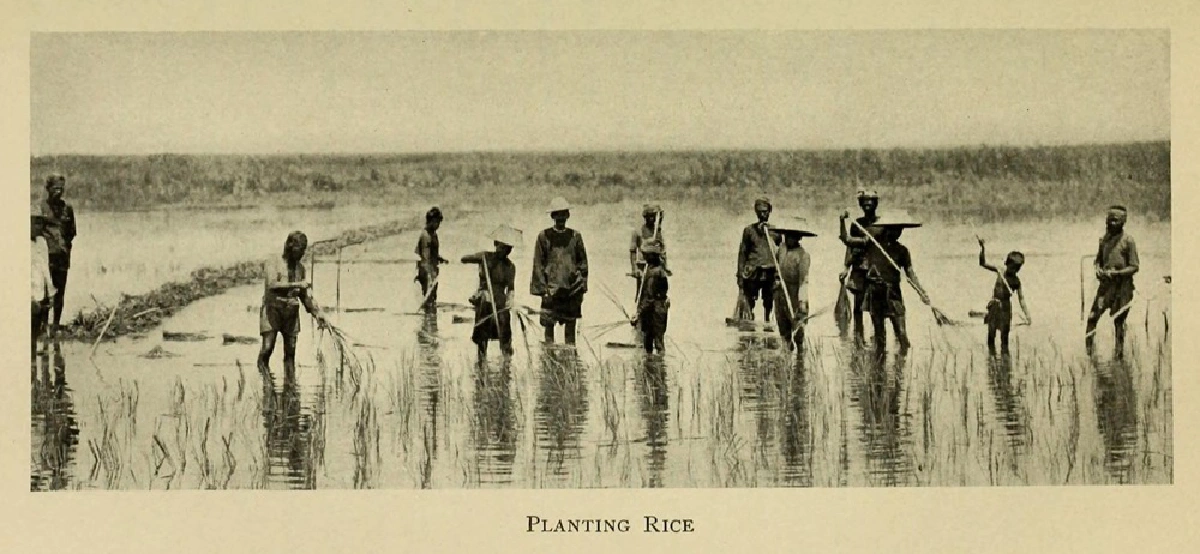 ทำไมชาวนาไทยถึงยากจนข้ามศตวรรษ? 