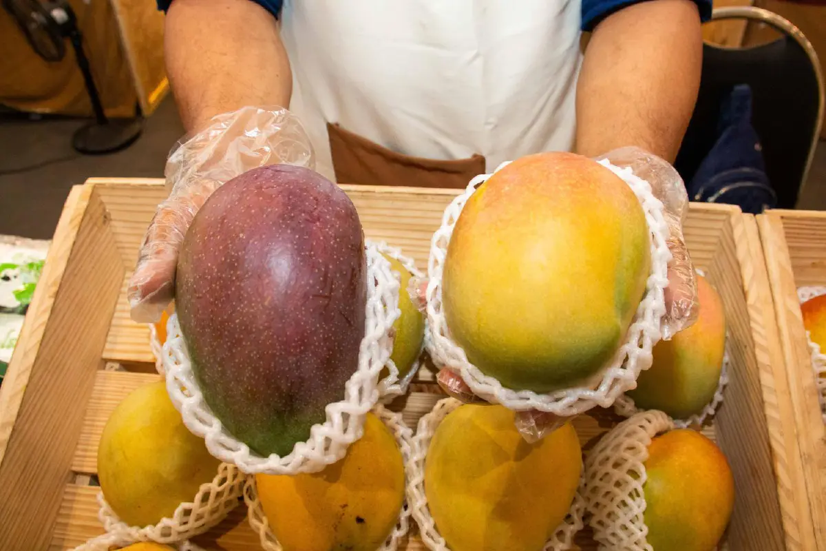 กระจายแหล่งช้อปฟินๆ 14 สาขา 'ตลาดผลไม้รวมใจ คนไทยช่วยชาติ'