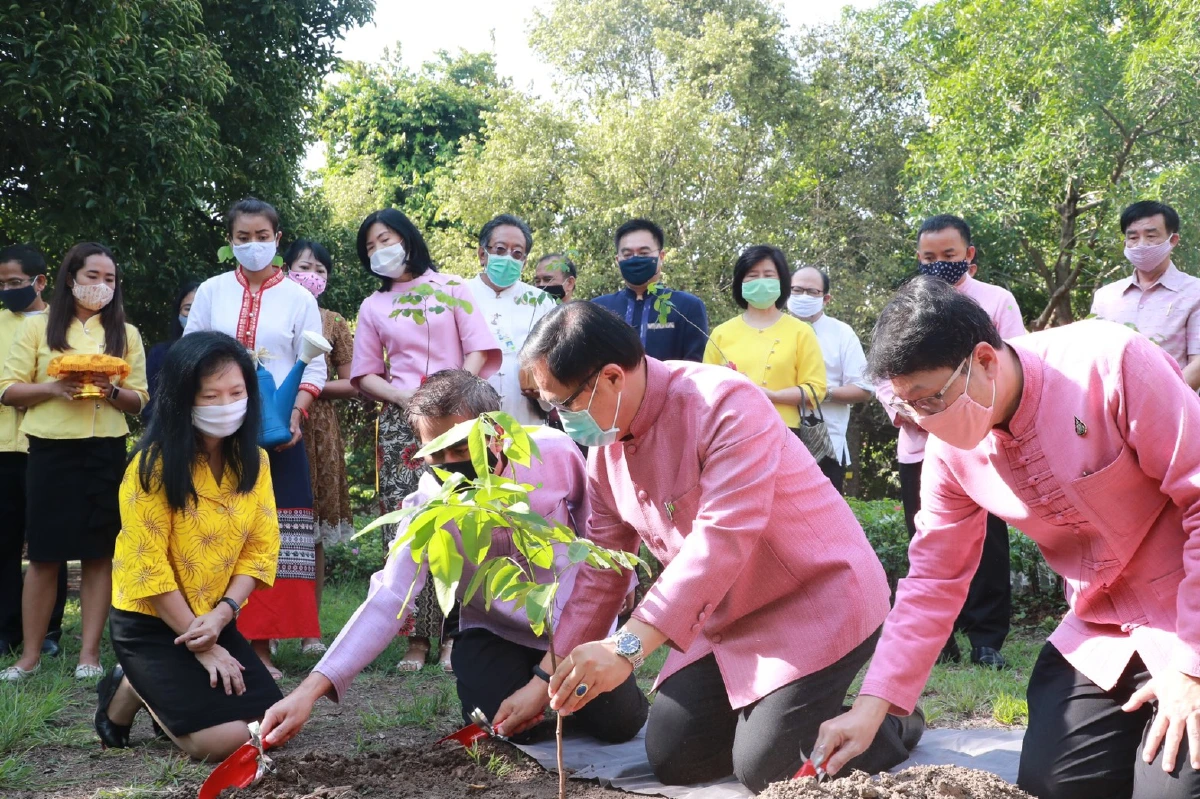 อธิบดีสถ.ชวนอปท.ปลูกป่าเฉลิมพระเกียรติเนื่องในวันมหามงคล