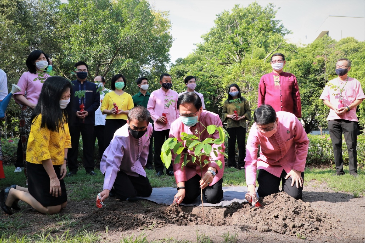 อธิบดีสถ.ชวนอปท.ปลูกป่าเฉลิมพระเกียรติเนื่องในวันมหามงคล อธิบดีสถ.ชวนอปท.ปลูกป่าเฉลิมพระเกียรติเนื่องในวันมหามงคล