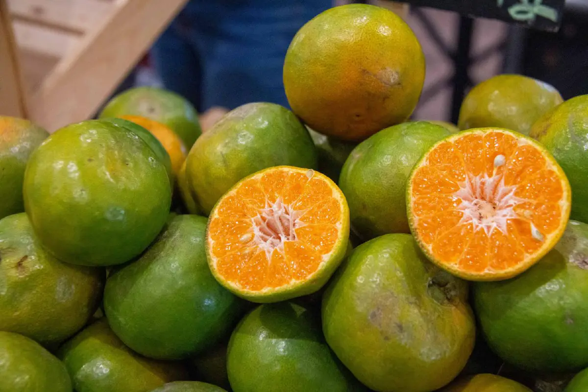 กระจายแหล่งช้อปฟินๆ 14 สาขา 'ตลาดผลไม้รวมใจ คนไทยช่วยชาติ'