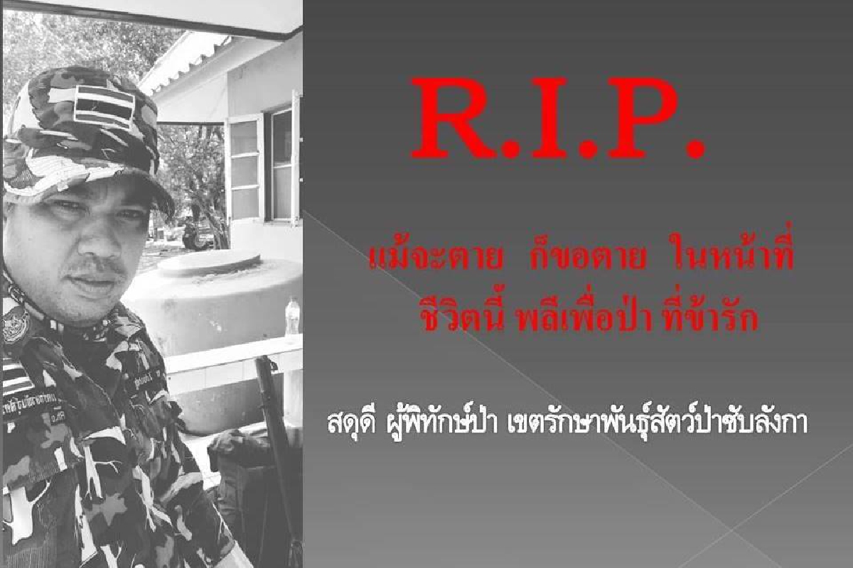เจ้าหน้าที่พิทักษ์ป่าพลีชีพ ขณะปะทะแก๊งล่าสัตว์ในป่าซับลังกา เจ้าหน้าที่พิทักษ์ป่าพลีชีพ ขณะปะทะแก๊งล่าสัตว์ในป่าซับลังกา