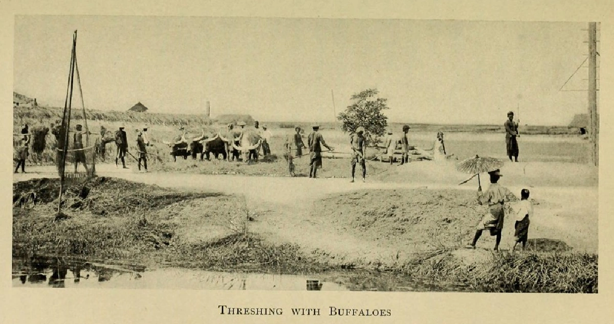 ทำไมชาวนาไทยถึงยากจนข้ามศตวรรษ? 