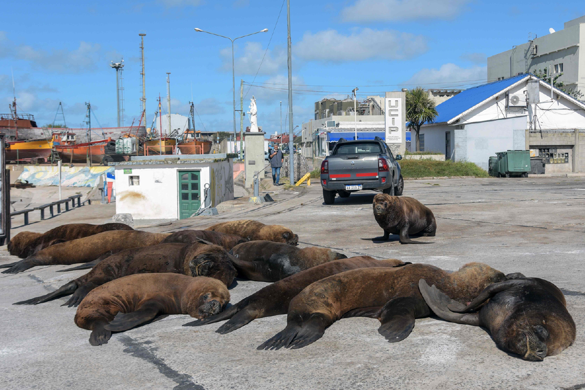 เมื่อมองมุมต่างจะเห็นหลากปรากฏการณ์ที่โควิดสร้างจากทั่วโลก