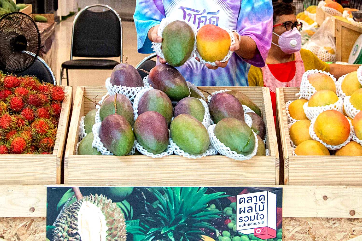 กระจายแหล่งช้อปฟินๆ 14 สาขา 'ตลาดผลไม้รวมใจ คนไทยช่วยชาติ' กระจายแหล่งช้อปฟินๆ 14 สาขา 'ตลาดผลไม้รวมใจ คนไทยช่วยชาติ'