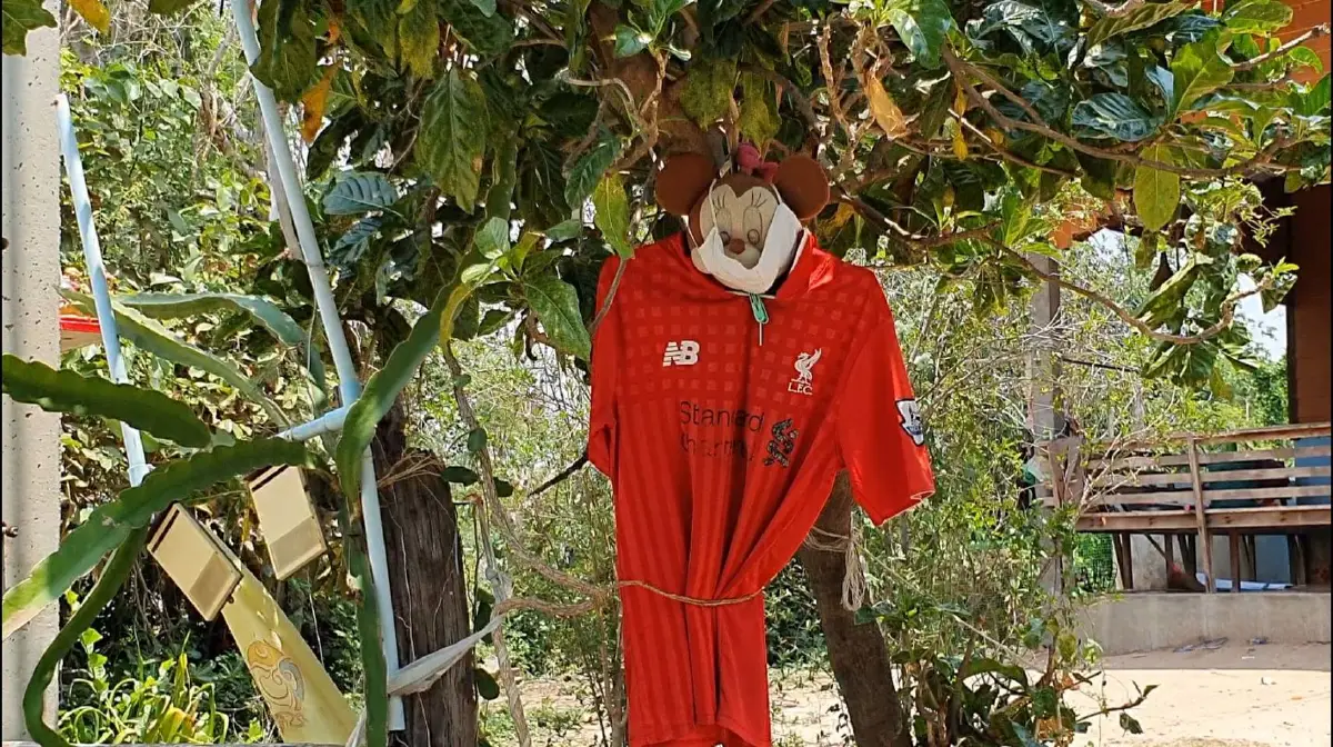 คนโคราชแขวนเสื้อแดงหน้าบ้านเชื่อไล่โควิด-19 เหมือนไล่โรคห่า