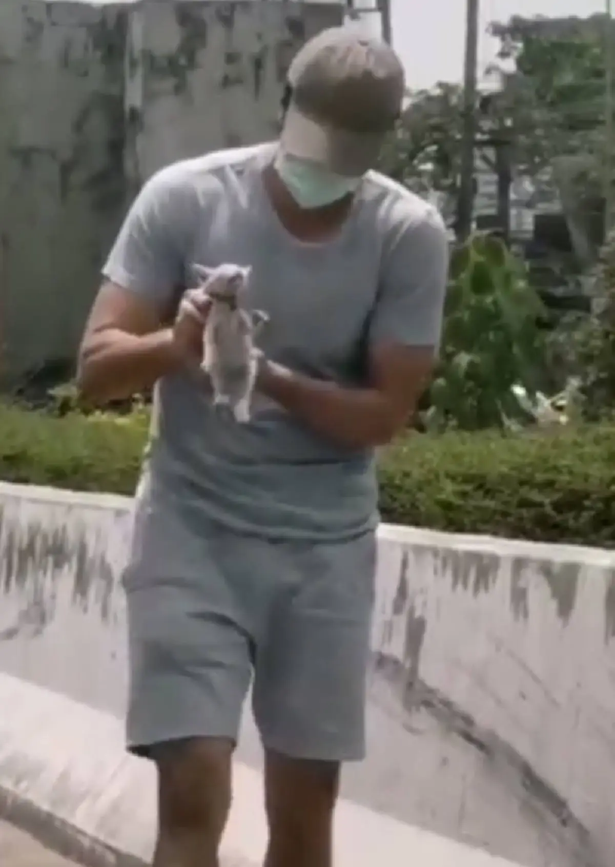 โย่ง อาร์มแชร์ เผยภาพน่ารัก น้องส้มหยุด ลูกแมวที่ช่วยมาจากข้างถนน 