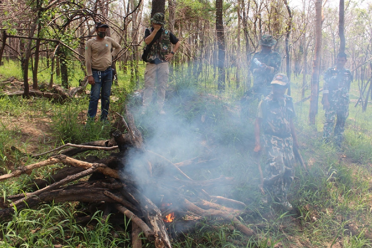 พบซากกระทิงทับลานถูกชำแหละเนื้อกลางป่า