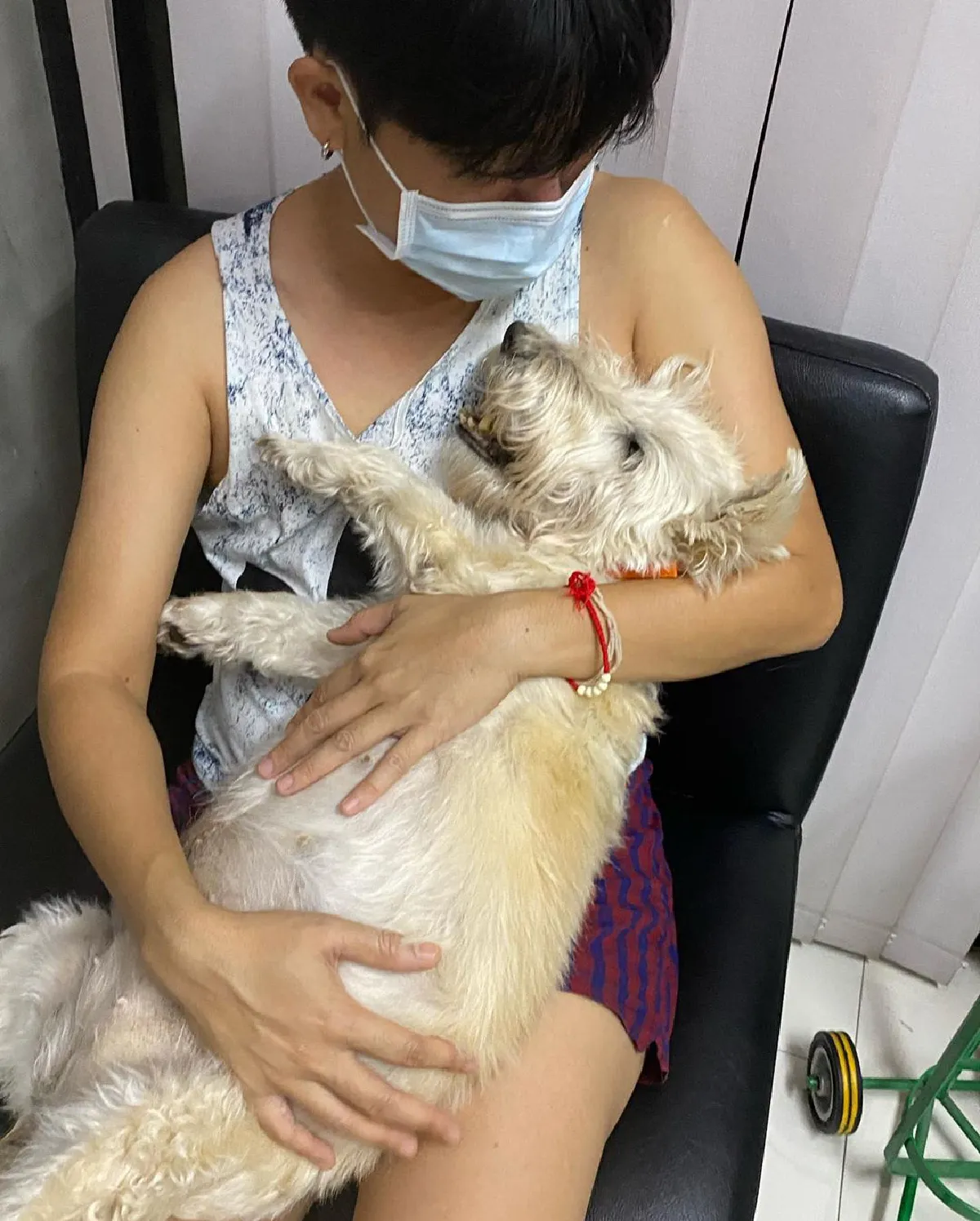 ใหม่ เจริญปุระ อาลัยทั้งน้ำตา! สุดเศร้าเสียน้องหมาที่รักเหมือนลูก