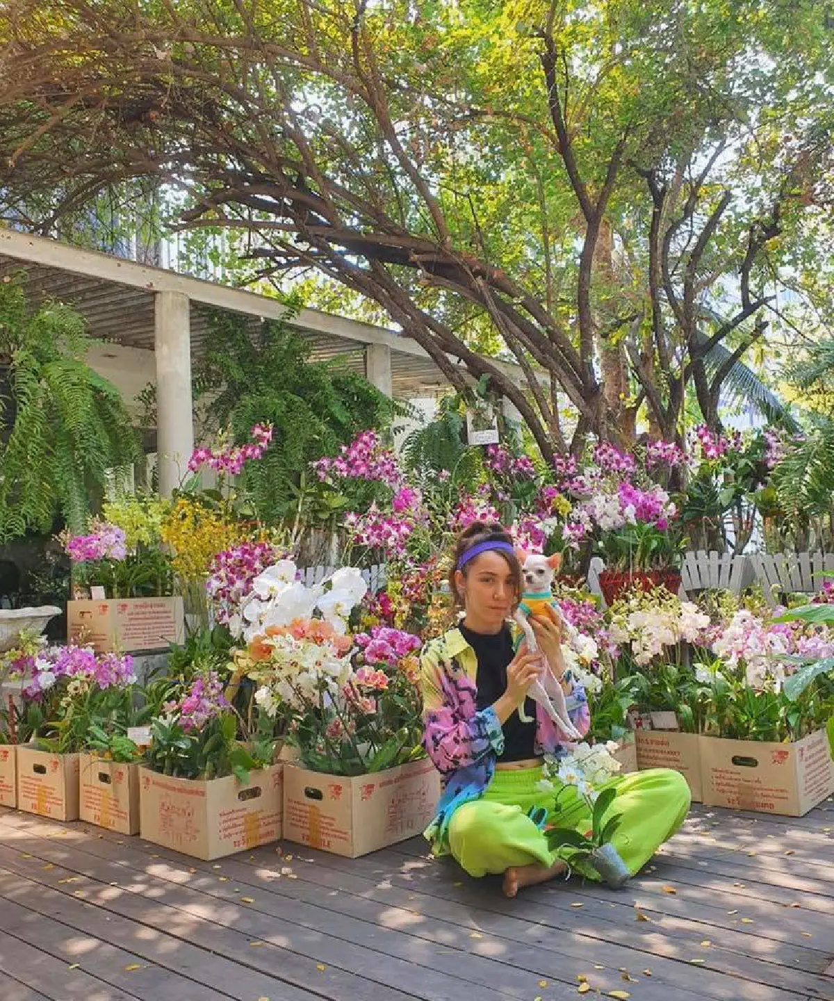 ส่องภาพน่ารัก! ปาล์มมี่ จับน้องหมา แต่งตัวแบบมีสไตล์ด้วยชุด D.I.Y 