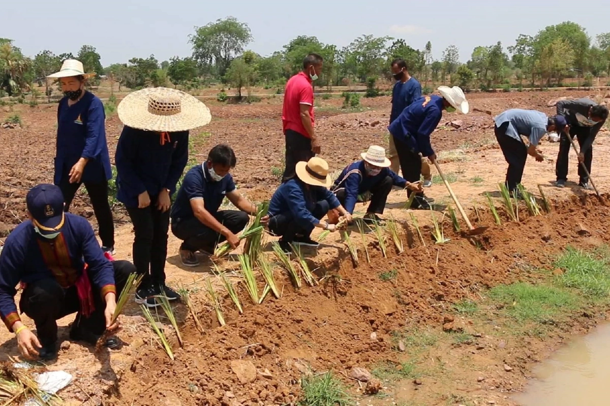 นอภ.มัญจาคีรีเนรมิตพื้นที่ 17 ไร่ เป็นธนาคารอาหารสู้โควิด-19