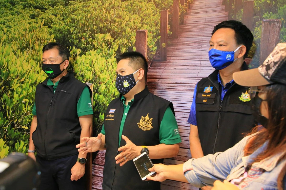 ทส.จัดวันป่าชายเลนแห่งชาติเรียบง่ายแจกพันธุ์กล้าไม้ฟรี