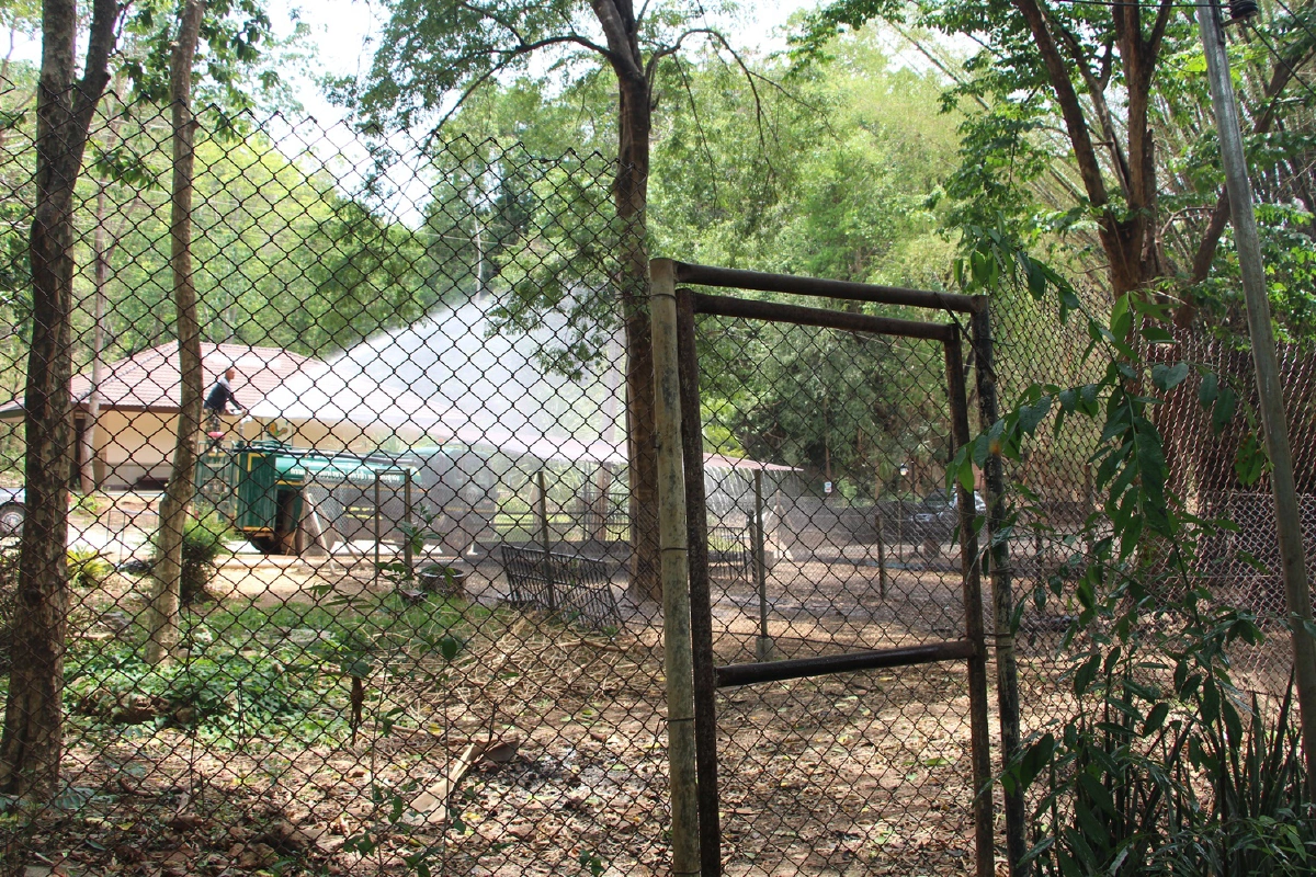 ศูนย์สัตว์ป่าเขาประทับช้างร้อนต้องฉีดน้ำช่วยสัตว์ลดเครียด