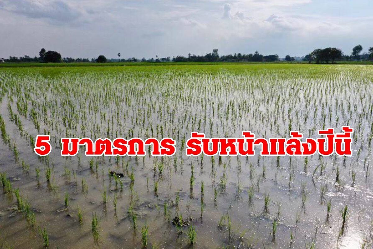 วางมาตรการเข้ม บริหารจัดการน้ำ รับมือภัยแล้ง วางมาตรการเข้ม บริหารจัดการน้ำ รับมือภัยแล้ง