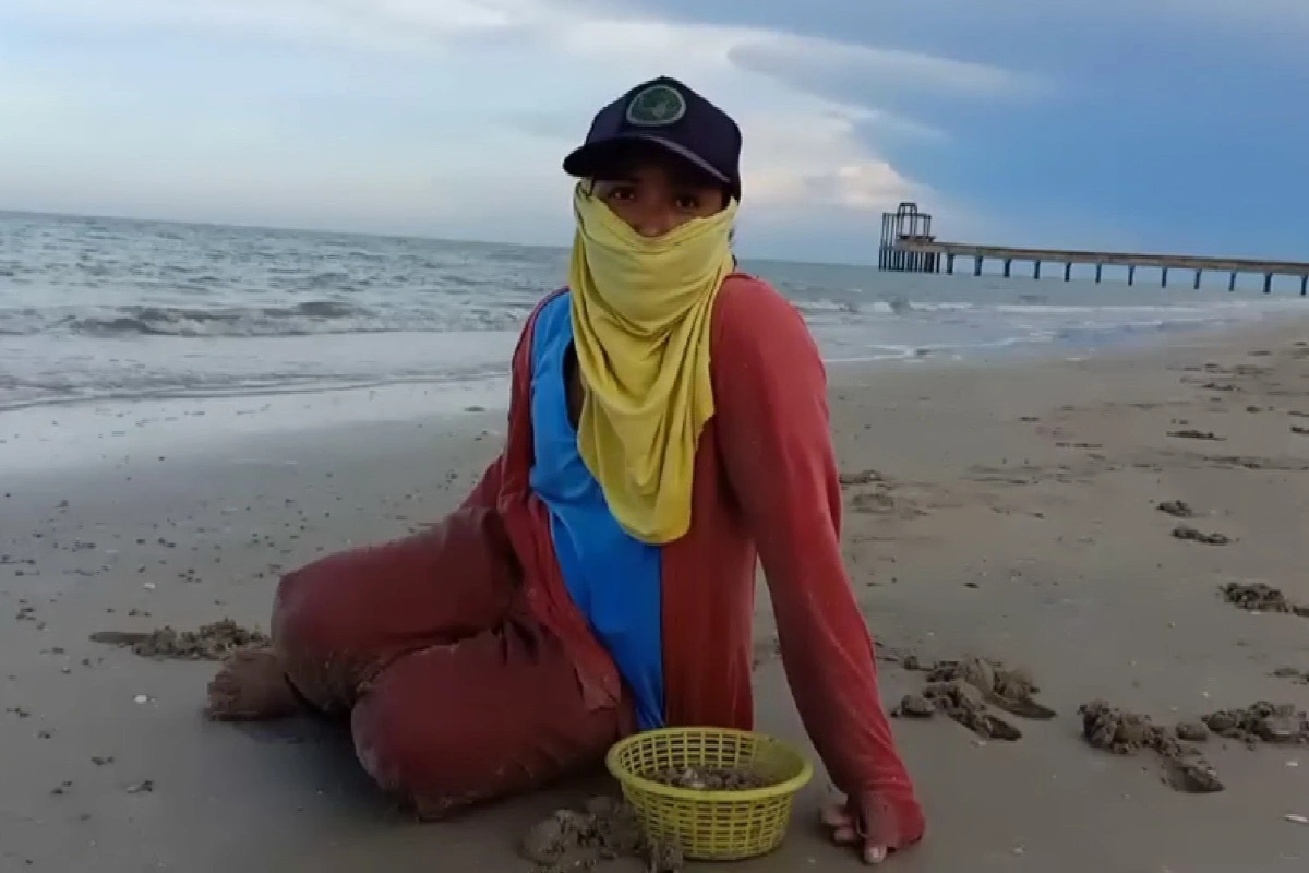 แมงกระพรุนไฟนับหมื่นตัวเกยหาด ชาวบ้านช้อนกุ้งลำบากขาดรายได้