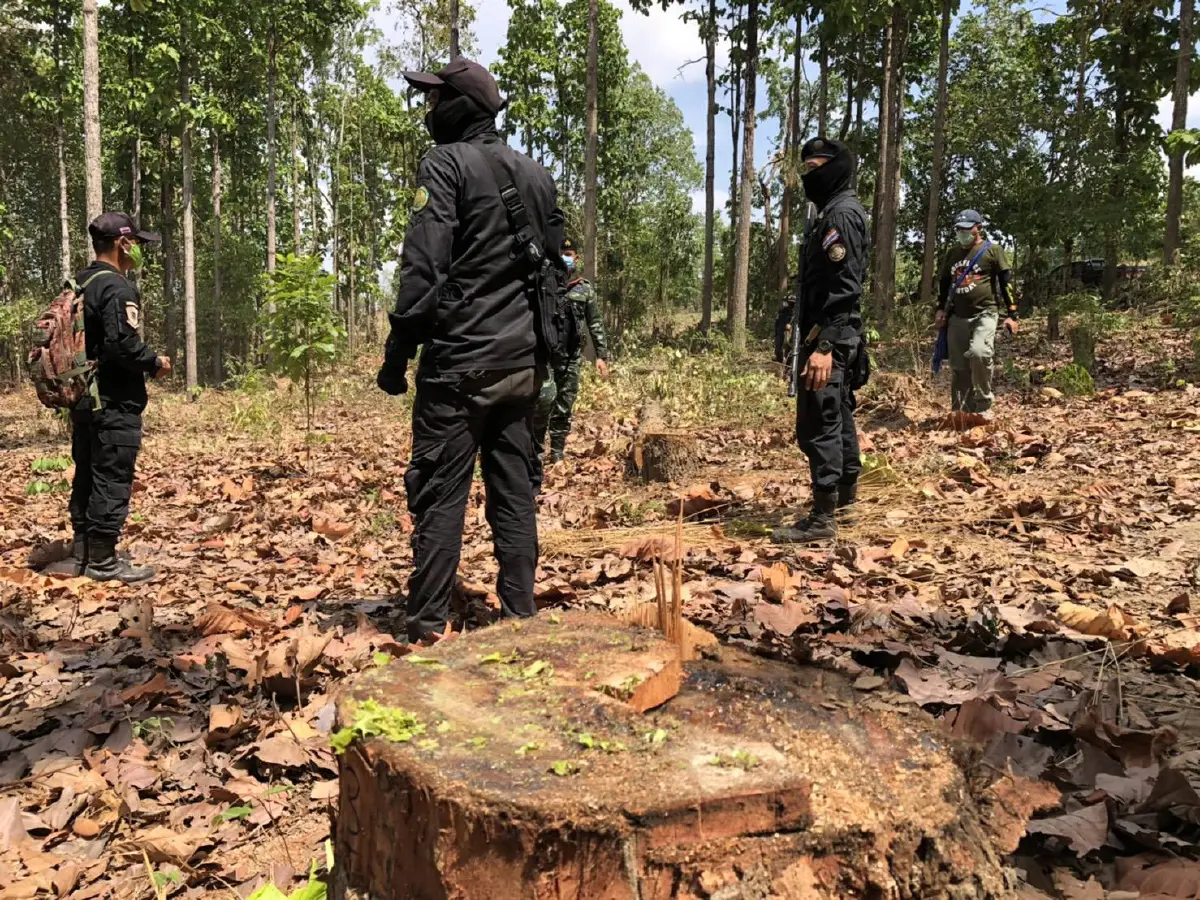 เจอซุงอีก 50 ท่อนของขบวนการตัดไม้ป่าชุมชนแม่สอด