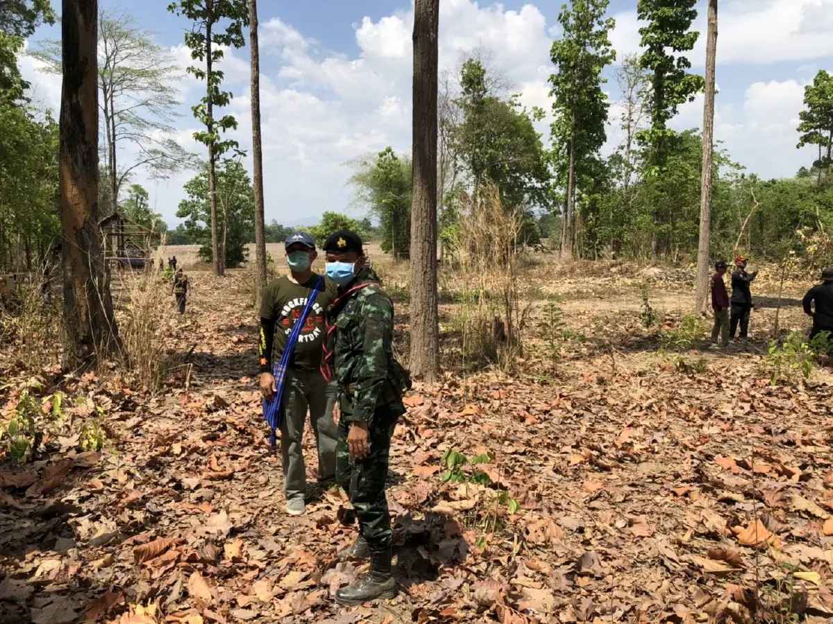 เจอซุงอีก 50 ท่อนของขบวนการตัดไม้ป่าชุมชนแม่สอด