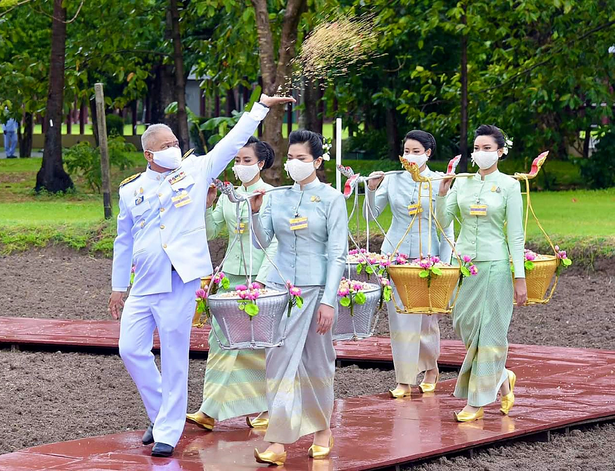 ประธานองคมนตรีเป็นปธ.หว่านข้าวในแปลงนาสาธิต สวนจิตรลดา