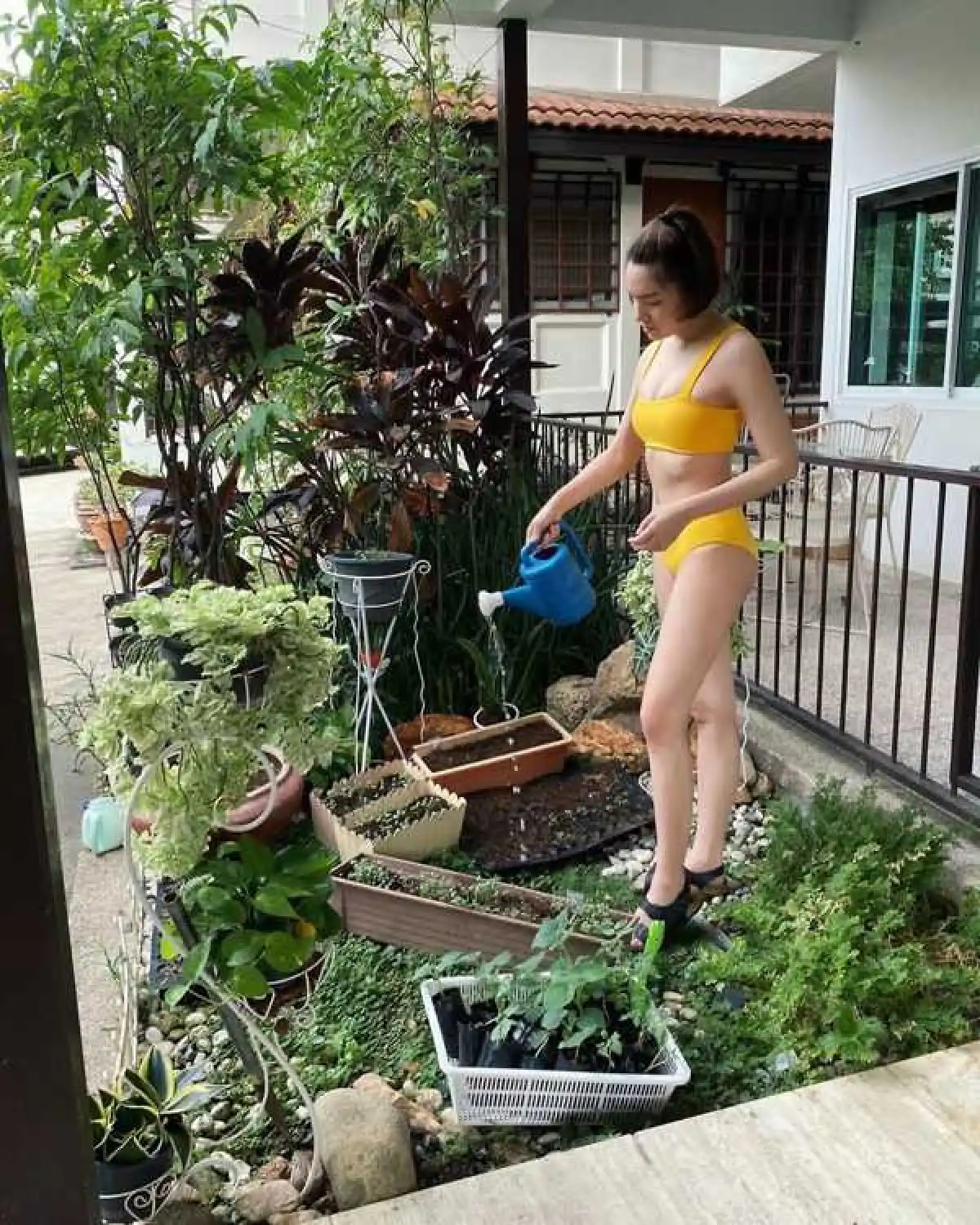 ชนะทุกตรง! “จ๊ะ จิตตาภา” แซ่บหนักใส่ชุดบิกินี่สุดฮอต รดน้ำต้นไม้อยู่บ้าน