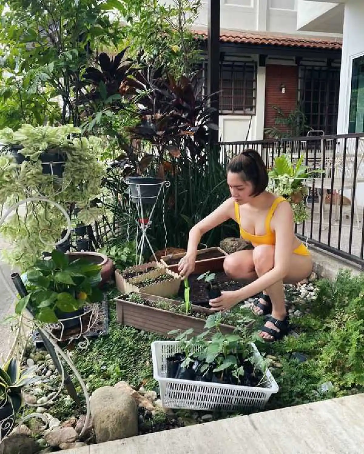 ชนะทุกตรง! “จ๊ะ จิตตาภา” แซ่บหนักใส่ชุดบิกินี่สุดฮอต รดน้ำต้นไม้อยู่บ้าน