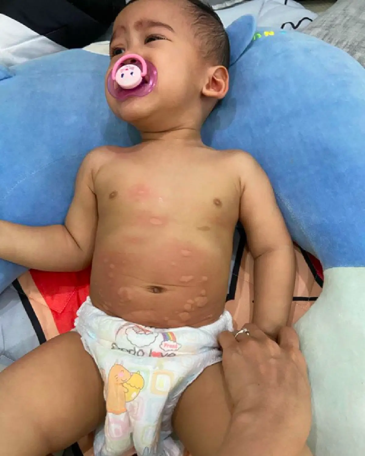 “หนูเล็ก ก่อนบ่าย” เซ็งหนัก! ถูกคนขายไก่ทอดหลอก หลัง “น้องวิน” กินแล้วแพ้แป้งที่ผสมมา ทั้งๆ ที่ถามแล้ว