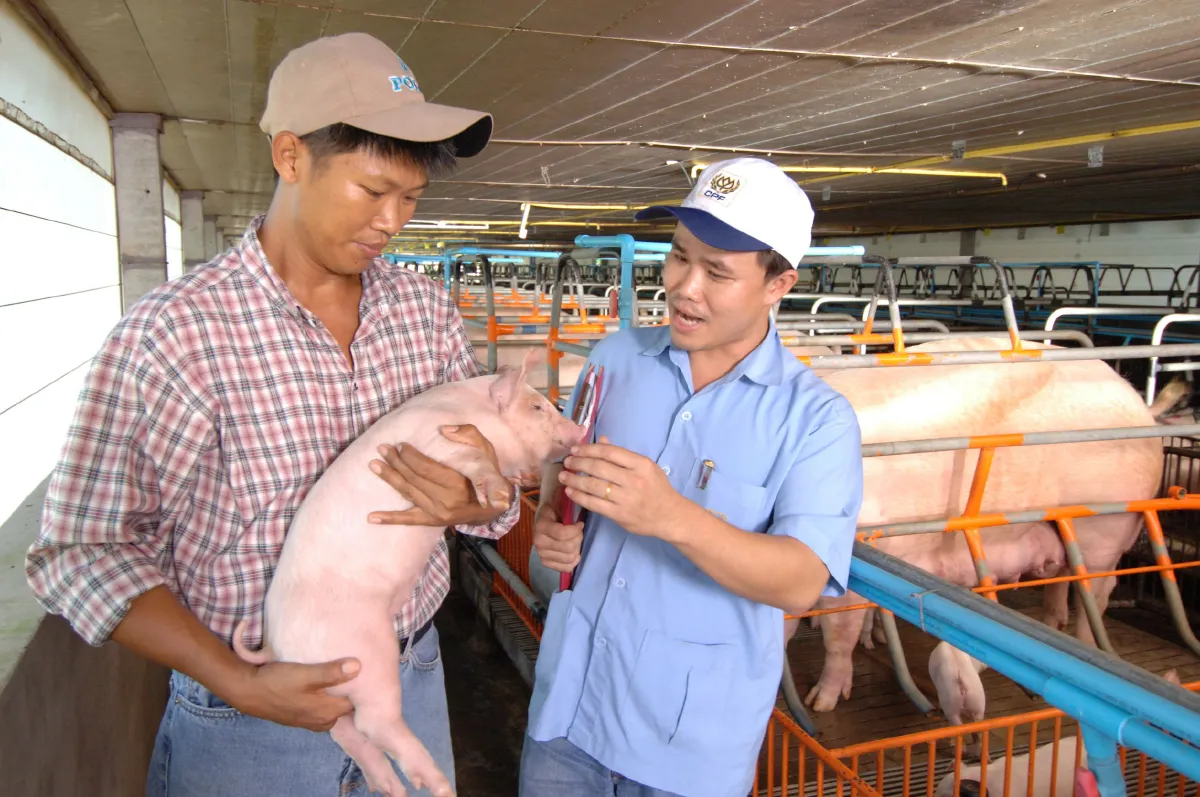 เจ้าสัวซีพี เลือก 4 จังหวัด นำร่องโมเดล "เกษตรผสมผสาน" สร้างฐานเศรษฐกิจใหม่ไทย