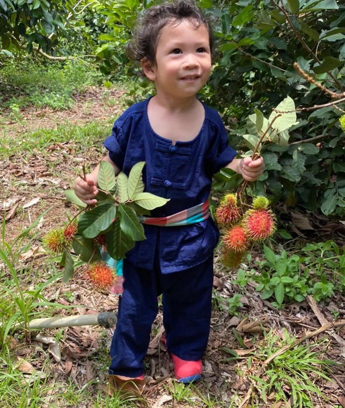 10 ภาพ น้องโพธิ์ ลูกชาย ชาคริต พาทัวร์สวนผลไม้ ปีนี้ออกผลดีมากๆ 