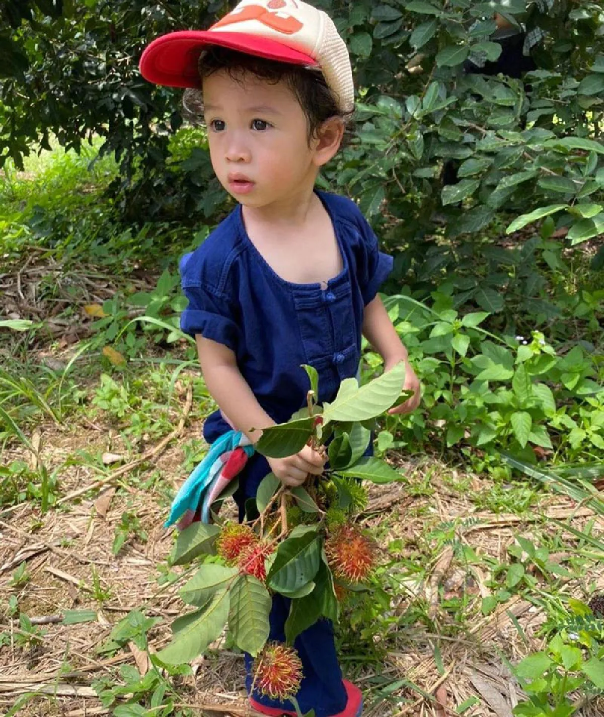 10 ภาพ น้องโพธิ์ ลูกชาย ชาคริต พาทัวร์สวนผลไม้ ปีนี้ออกผลดีมากๆ 