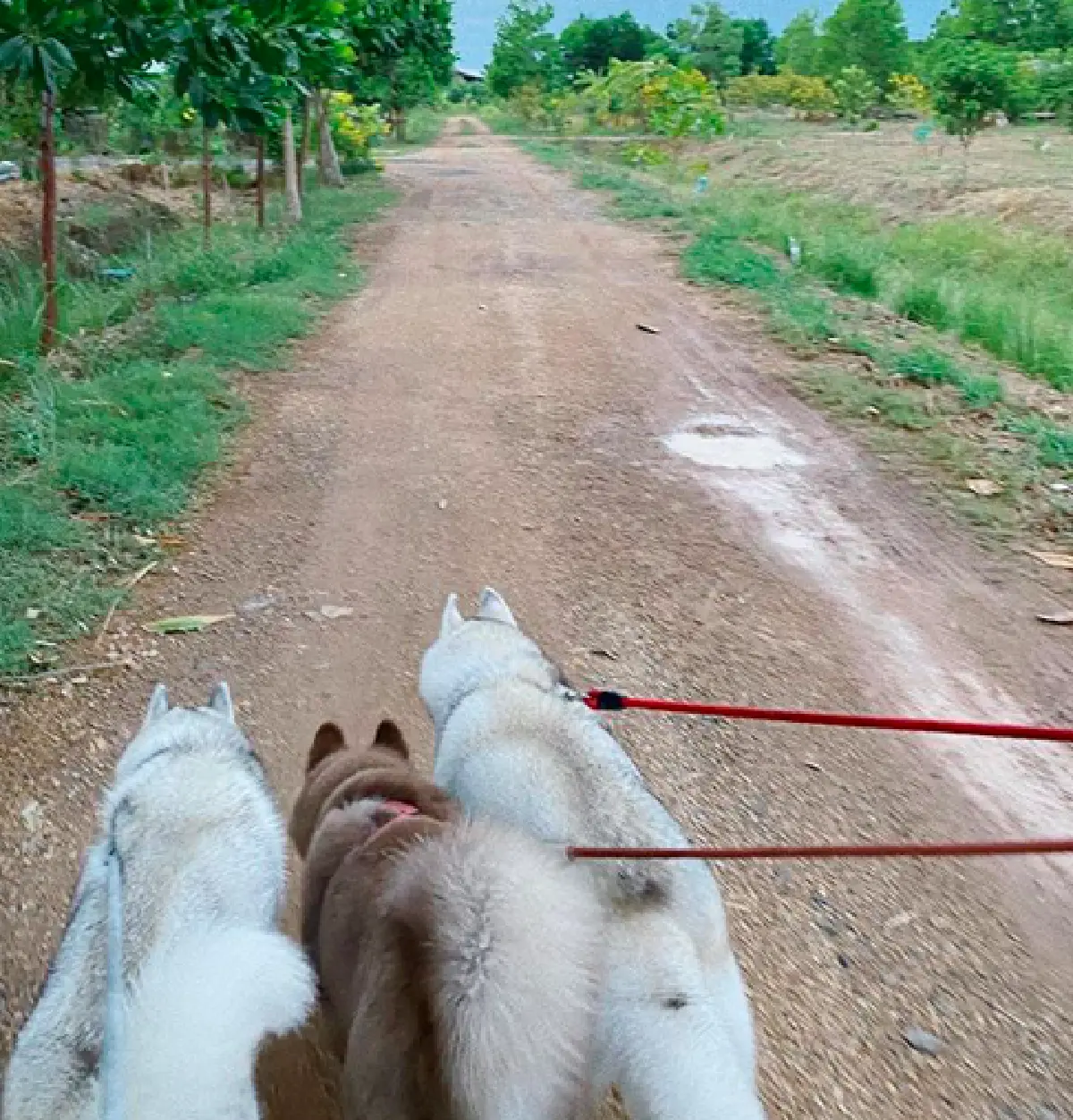 "แพนเค้ก" และครอบครัวพากันลงแรงลงใจสร้างสวนเกษตรพอเพียงขึ้นมา