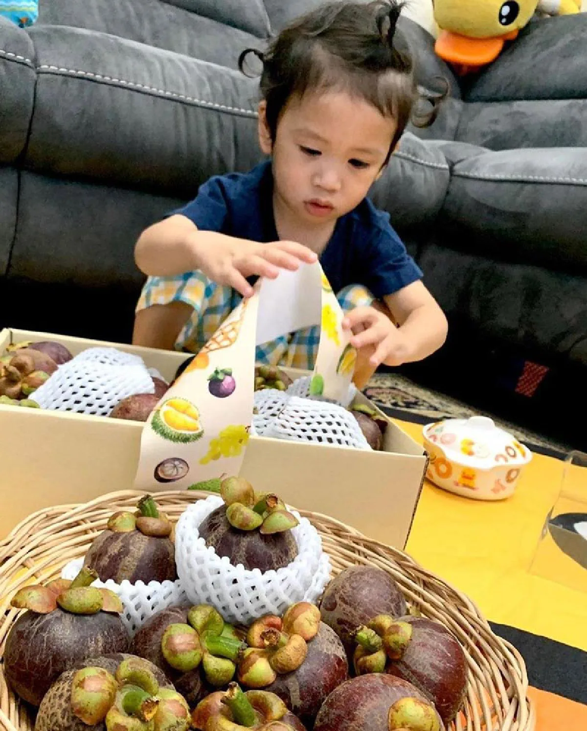 10 ภาพ น้องโพธิ์ ลูกชาย ชาคริต พาทัวร์สวนผลไม้ ปีนี้ออกผลดีมากๆ 