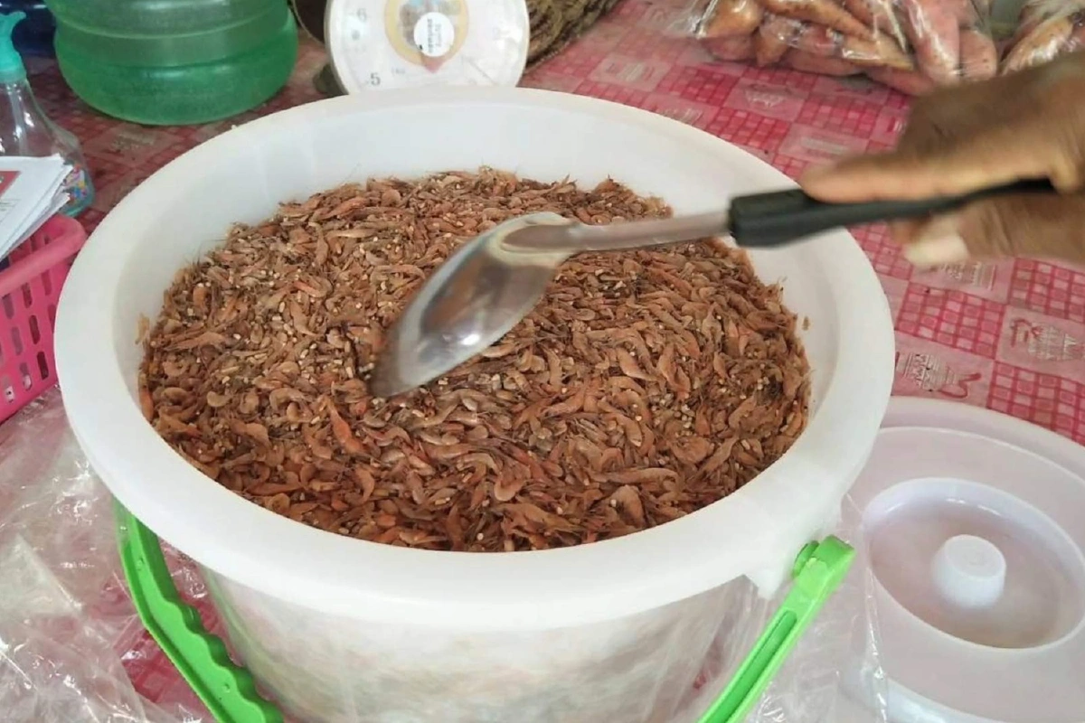 ชาวบ้านกว่า50คนถูกหามส่งรพ.หนองเรือหลังรับประทานปลาจ่อม-กุ้งจ่อม