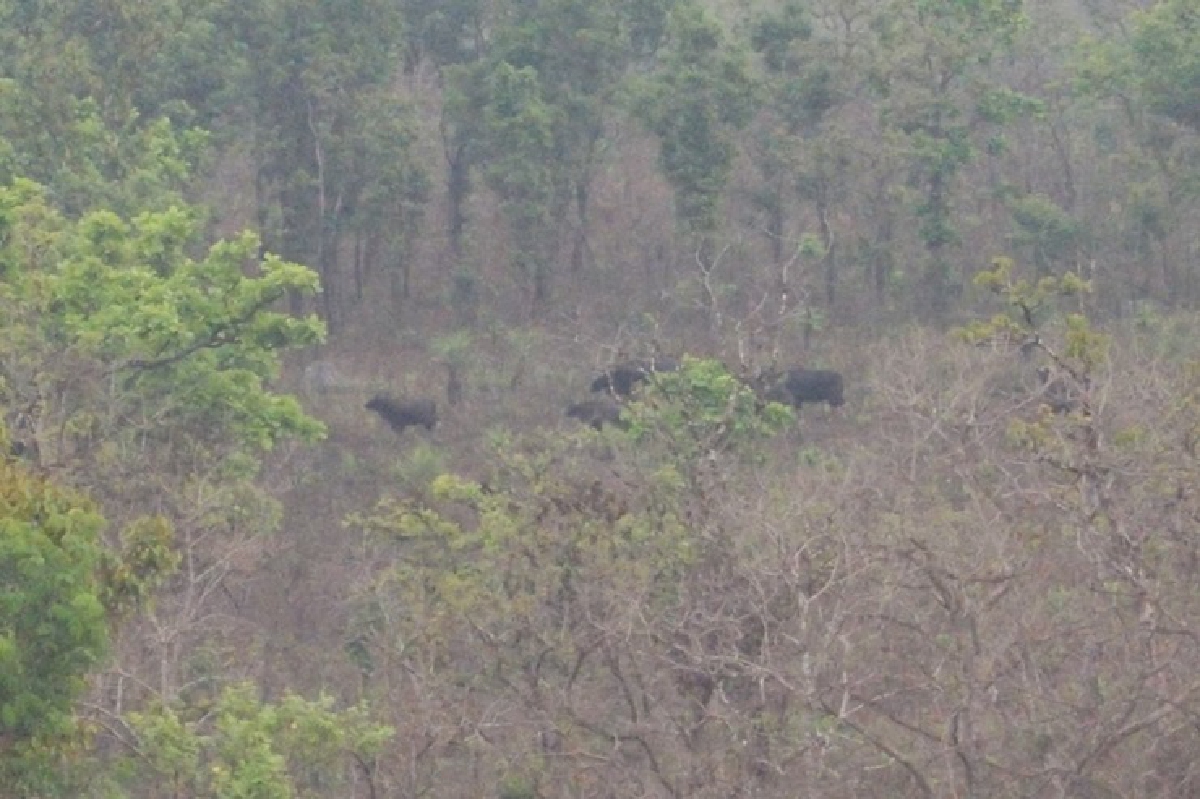 อุทยานฯขานรับแผนปิดป่าอย่างน้อย 2 เดือน อุทยานฯขานรับแผนปิดป่าอย่างน้อย 2 เดือน