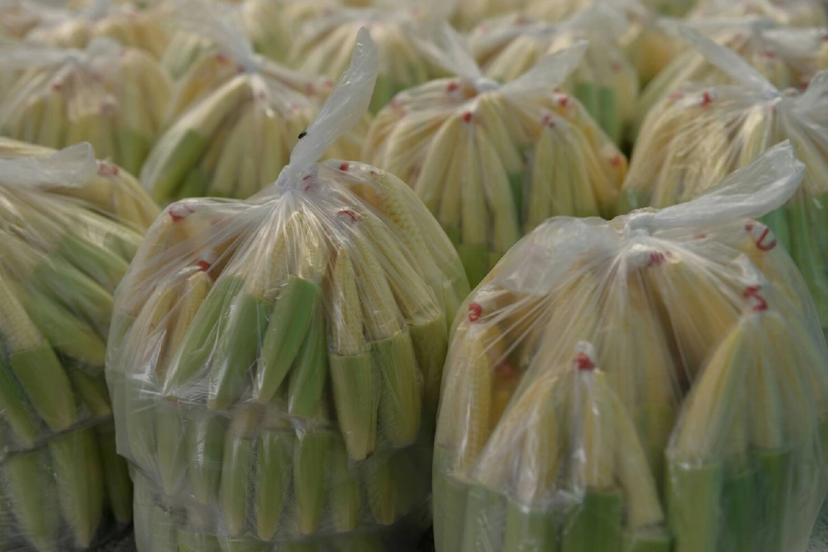 พล.ร.9จัดชุด ARMY DELIVERYบรรเทาความเดือดร้อนโควิด-19