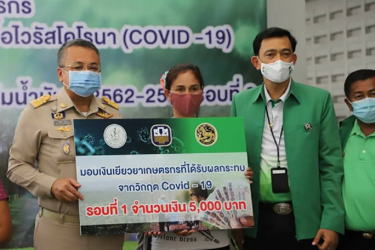 เกษตรกรสุราษฎร์ฯเฮ!รับเงินช่วยโควิดกว่า253ล้านบาท เกษตรกรสุราษฎร์ฯเฮ!รับเงินช่วยโควิดกว่า253ล้านบาท
