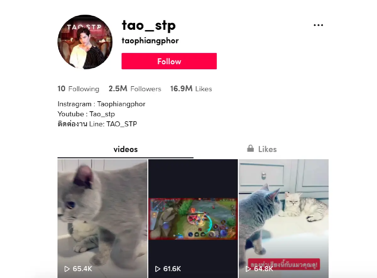 ไลฟ์สไตล์สายสนุกกับ 10 ดาวเด่นบน TikTok