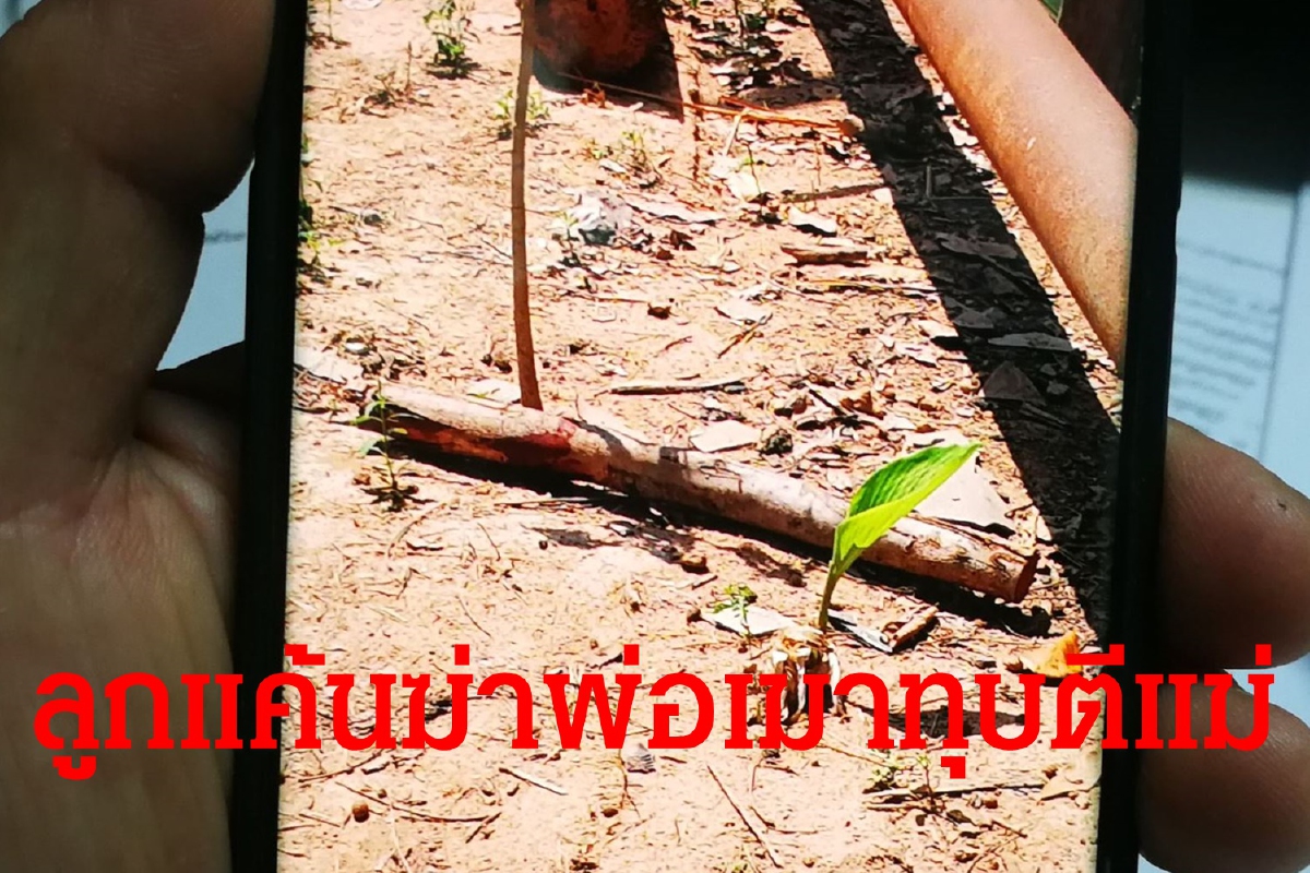 ลูกชายแค้นพ่อเมาทำร้ายแม่คว้าท่อนไม้ตีหัวดับ ลูกชายแค้นพ่อเมาทำร้ายแม่คว้าท่อนไม้ตีหัวดับ