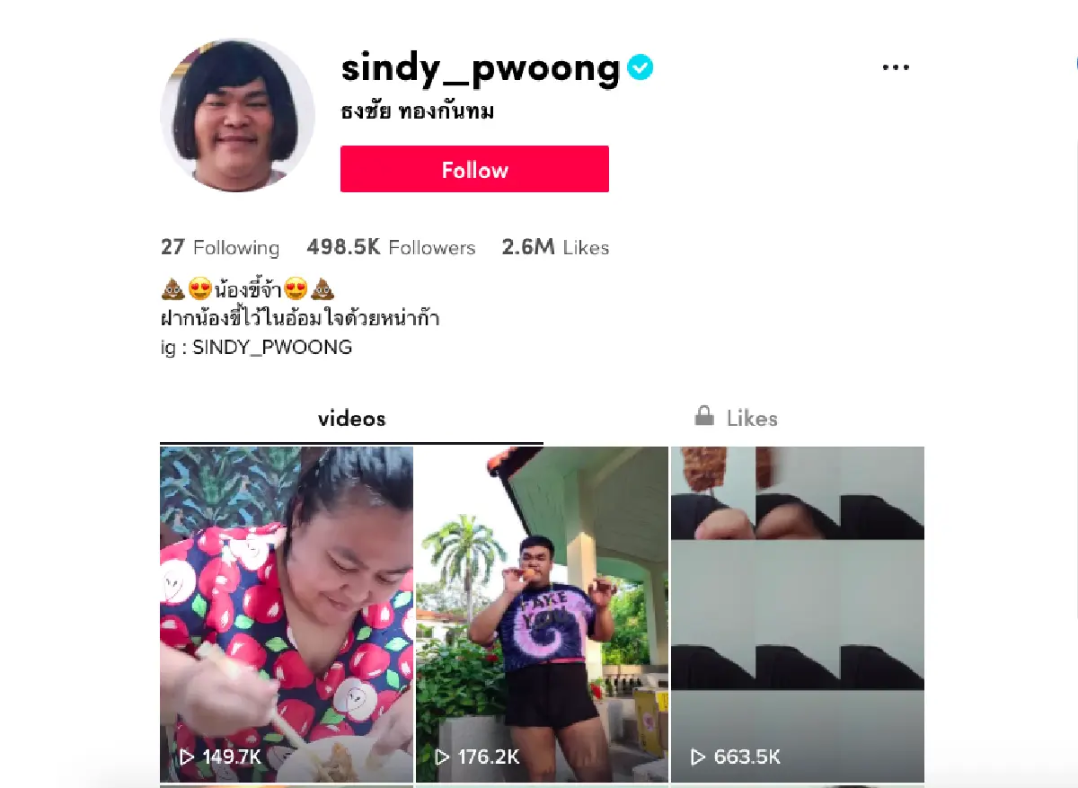ไลฟ์สไตล์สายสนุกกับ 10 ดาวเด่นบน TikTok