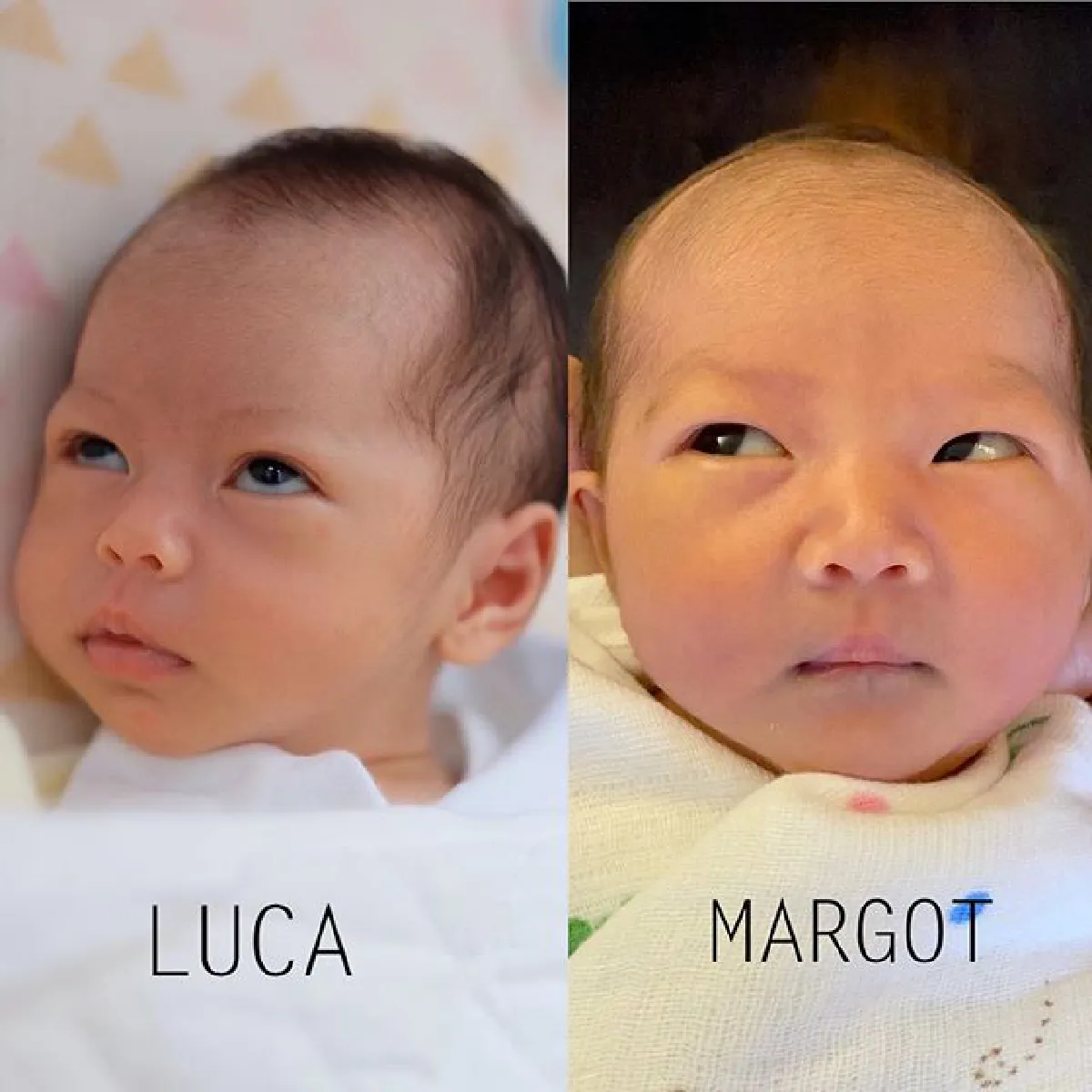 สวยน่าอยู่! นาวิน ต้าร์ อวดภาพบ้านหลังใหม่สร้างให้ลูกสาว น้องลูก้า-มาโก้