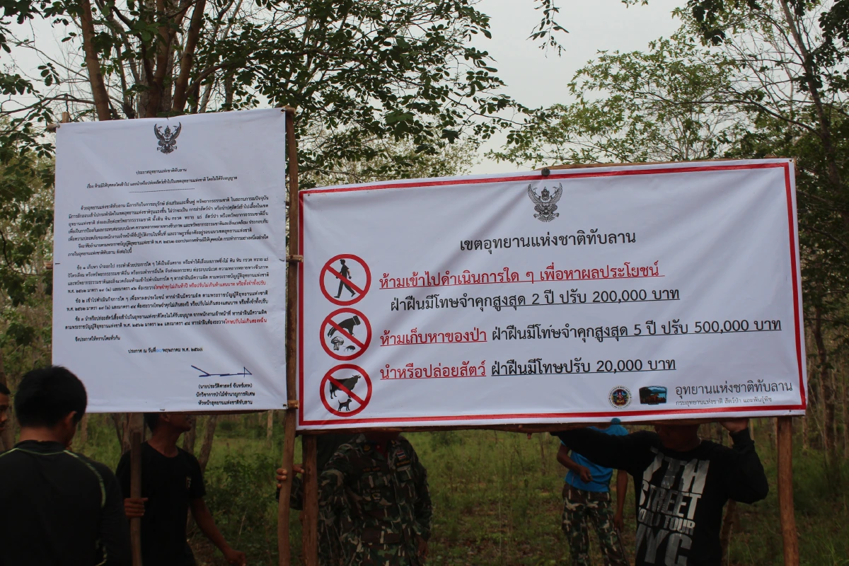 "ทับลาน"ปิดป้ายประกาศห้ามเข้าเขตป่าหลังพบกระทิงถูกฆ่าตาย 2 ตัวรวด