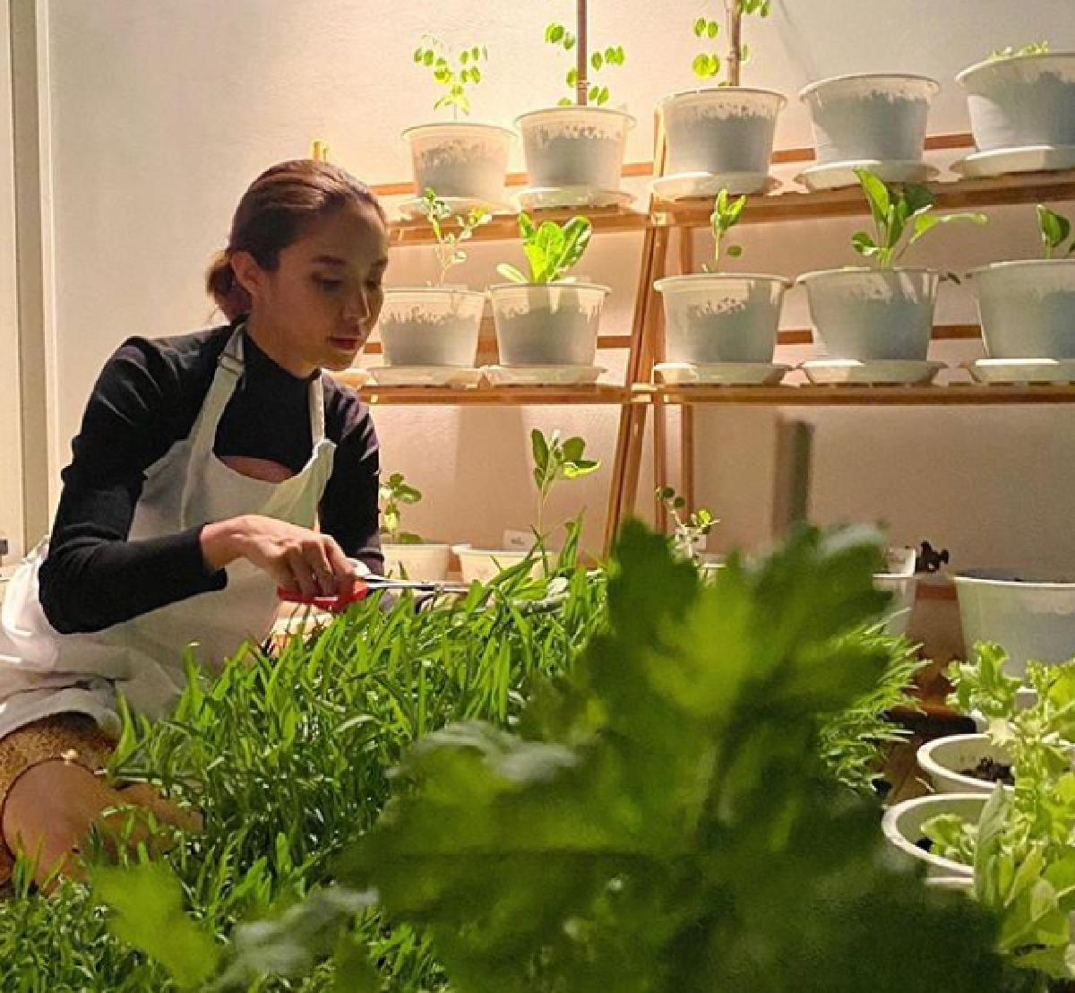 น้ำชา ชีรณัฐ ปลูกผักทานเองบนคอนโด พร้อมเก็บทำเป็นมื้อเย็น (คลิป)