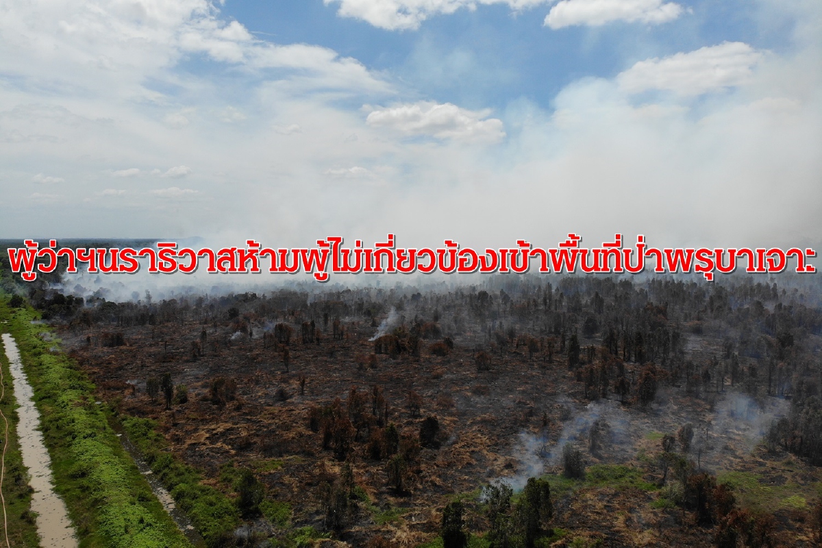 ผู้ว่าฯนราธิวาสห้ามผู้ไม่เกี่ยวข้องเข้าพื้นที่ป่าพรุบาเจาะ ไฟไหม้เสียหายกว่า100ไร่ ผู้ว่าฯนราธิวาสห้ามผู้ไม่เกี่ยวข้องเข้าพื้นที่ป่าพรุบาเจาะ ไฟไหม้เสียหายกว่า100ไร่