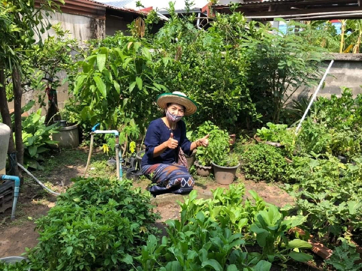 พช.ปลื้ม 5 จว.นำร่องปลูกผักสร้างคลังอาหารให้ชุมชนยุคโควิด-19 สำเร็จ 100 %